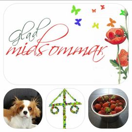 Midsommar 2016