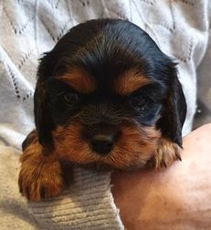 mimmi2020416