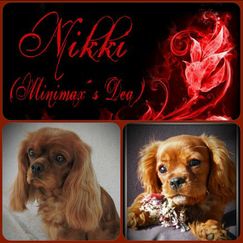nikki2ar