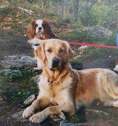 Peppsi & Ella 1991