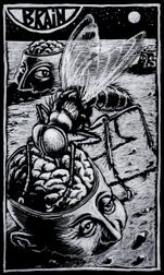 SERIE NOIRE 61
