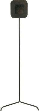'It is Eye, Speaker #1'
