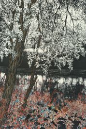 25