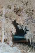 Another kind of snow