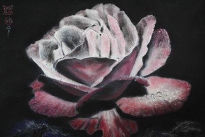 25