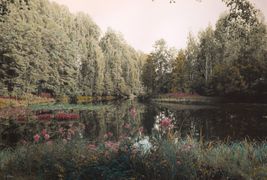 Vintage landscape