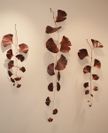 3 ginkgo