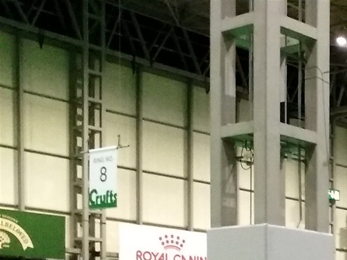 Crufts är något otroligt stort. Så mycket trevligt folk. Så otroligt mycket reklam för våra hundar som goda representanter för rasen. I vår grupp på 5 hundar fick Amigo en 4:e plats 