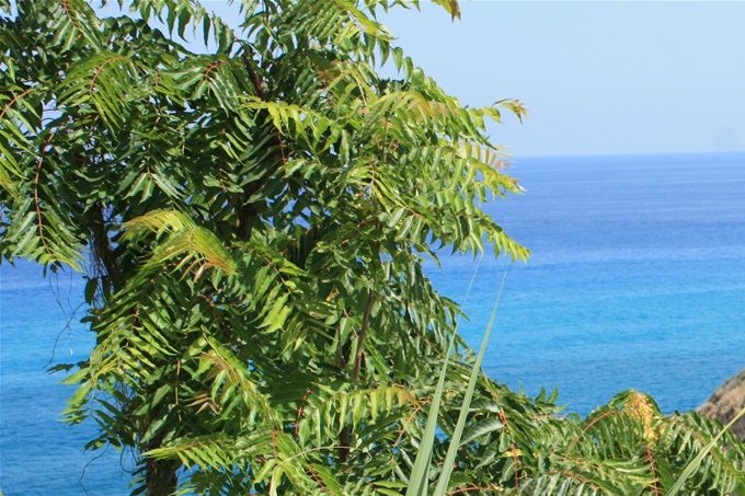 Calabria- lato