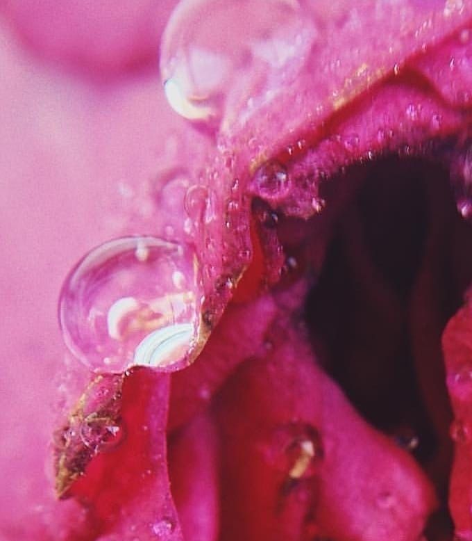 Sacred womb and Sacred Yoni