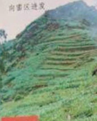 Quân Tầu Cộng tiến qua biên giới Việt Nam là vi phạm ch̉u quyền c̉ua đất nước chúng ta. CSVN HÈN VỚI GỊĂC - ÁC VỚI DÂN. Nhưng CPQGVNLT thì HÈN VỚI DÂN - NGĂN CHỘNG GIẶC.