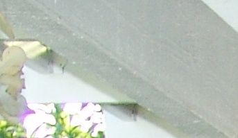 Thủ Tướng và qúy Tướng Lãnh, Đại Biểu Văn Phòng Thường Trực