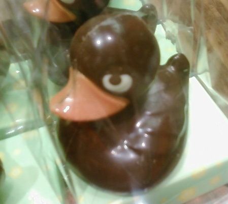 Un petit canard avec un regard HITCHCOCKIEN
     