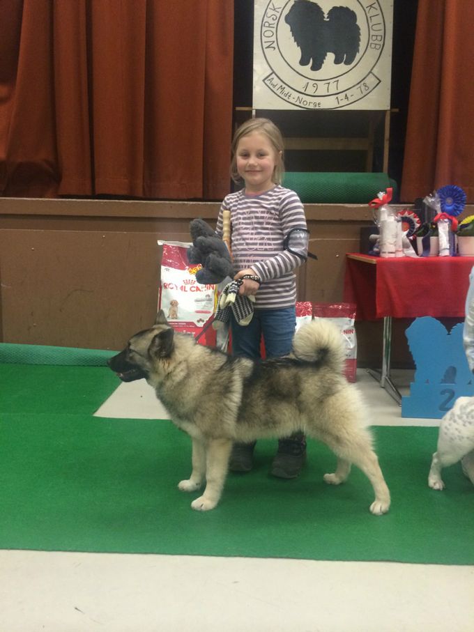 Vinner barn og hund under 9 år: Ida Celine Krogstad
Foto Tina Krogstad