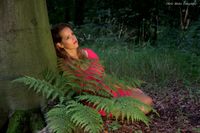 WEBSITE GLAMOUR Lost in the woods 1324