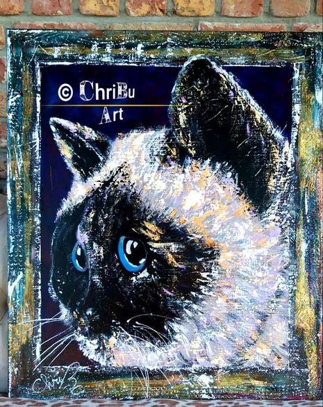 Aristo cat