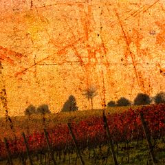 019_300x200-1-1