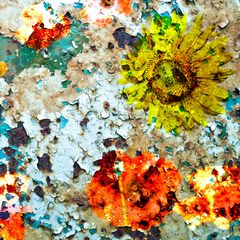 029_530x400-1-1