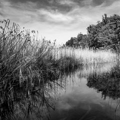 L1060620-1-1