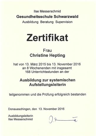 Systemischer Coach