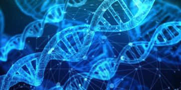 Epigenetik