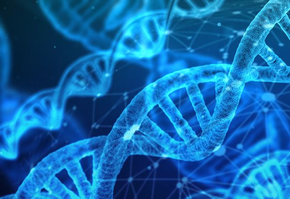 Unsere DNA