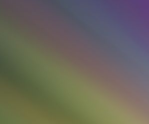 shutterstock_251969446