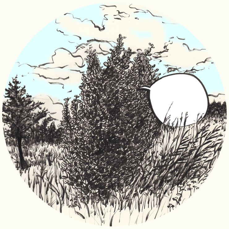 2 skog