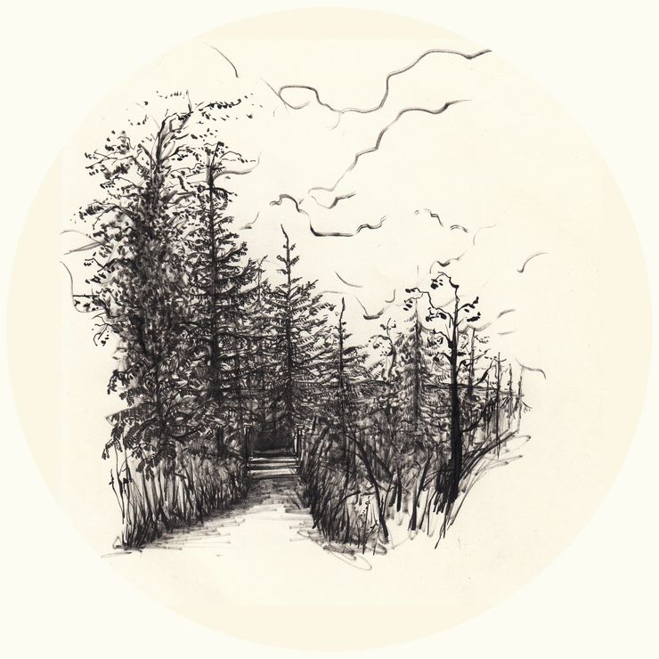 7 skog