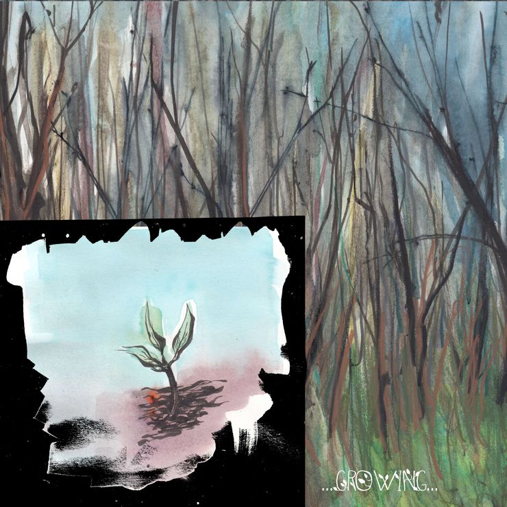 Sly, (the thicket)