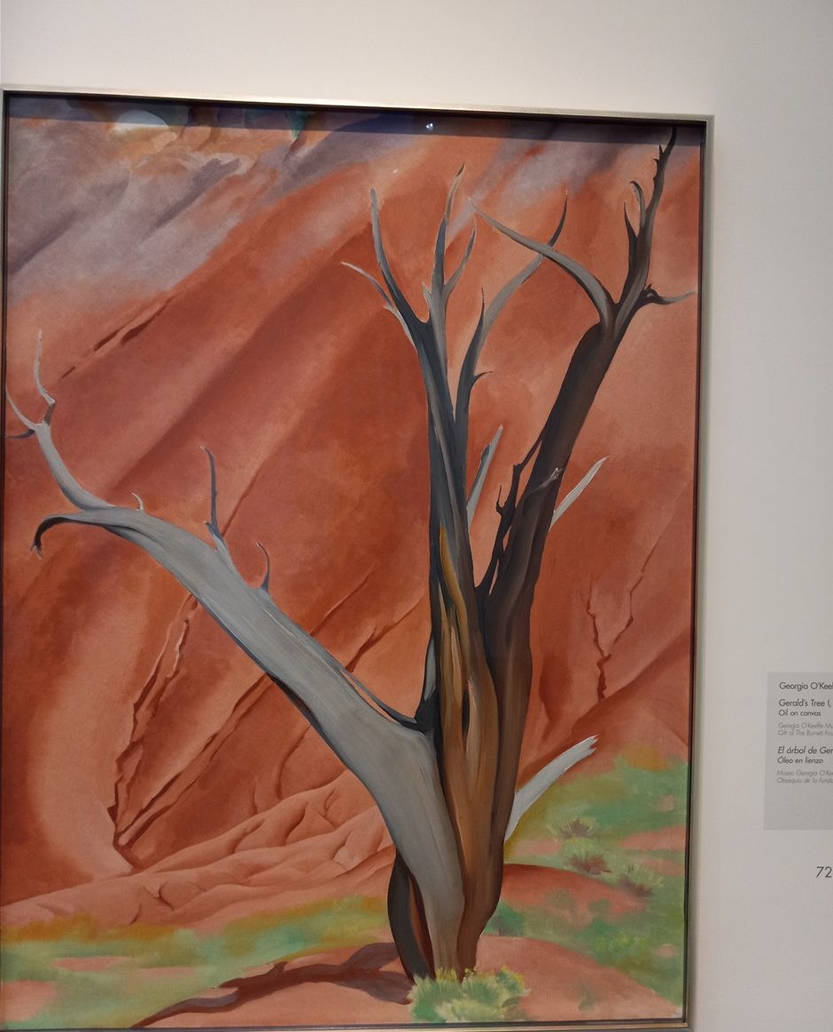 Walking around Santa Fe Old Town Plaza, we discovered the Georgia O'Keeffe Museum. Georgia O'Keeffe was an American Painter known as the Mother of American Modernism. She lived from 15 November 1887 until 6 March 1986. She died here in Santa Fe. The address is 217 Johnson Street. I would think that they could have named the street after Georgia O'Keeffe since one of her paintings sold for a record breaking $44.4 million..😃.