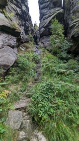 Stiege3