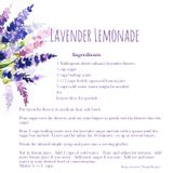 lemonade front copy