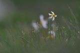 2-christian-minimalisme 