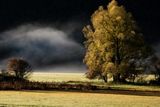DSCF7640f