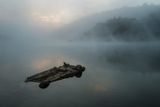 DSCF8167