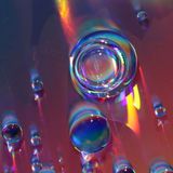 IMG_7658dd_redimensionner