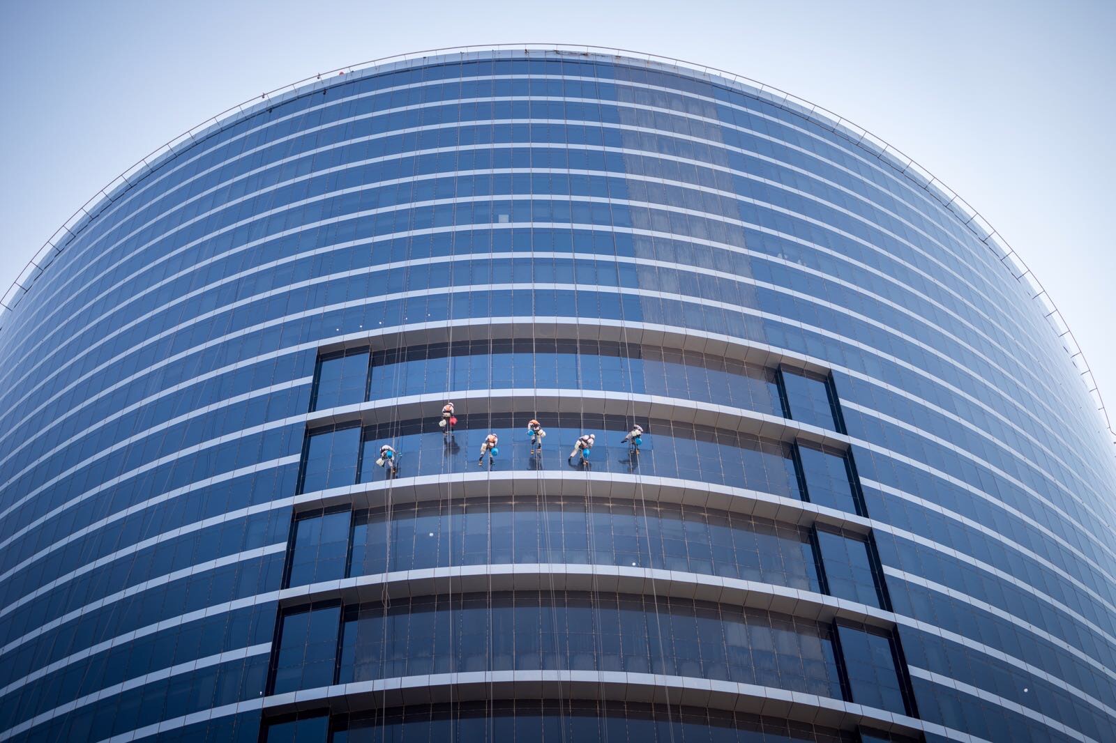 Dubia, Window cleaning 