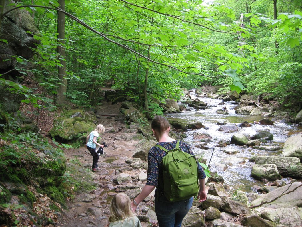 Anschließend eine Wandertour durchs malerische Ilsetal