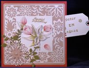Combinatiekaart 225