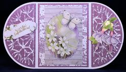 Combinatiekaart 238