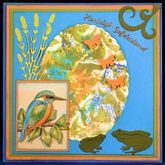 Combinatiekaart 278