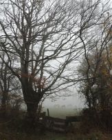 My place