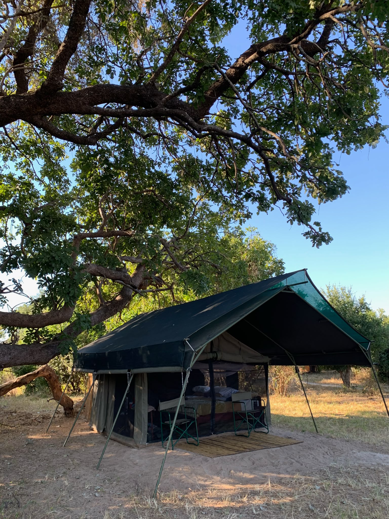 Mumbulu tent