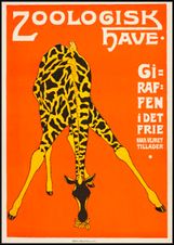 2271-Giraf-3-1