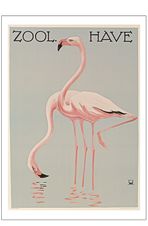 Zoo-plakat-flamingo_ur