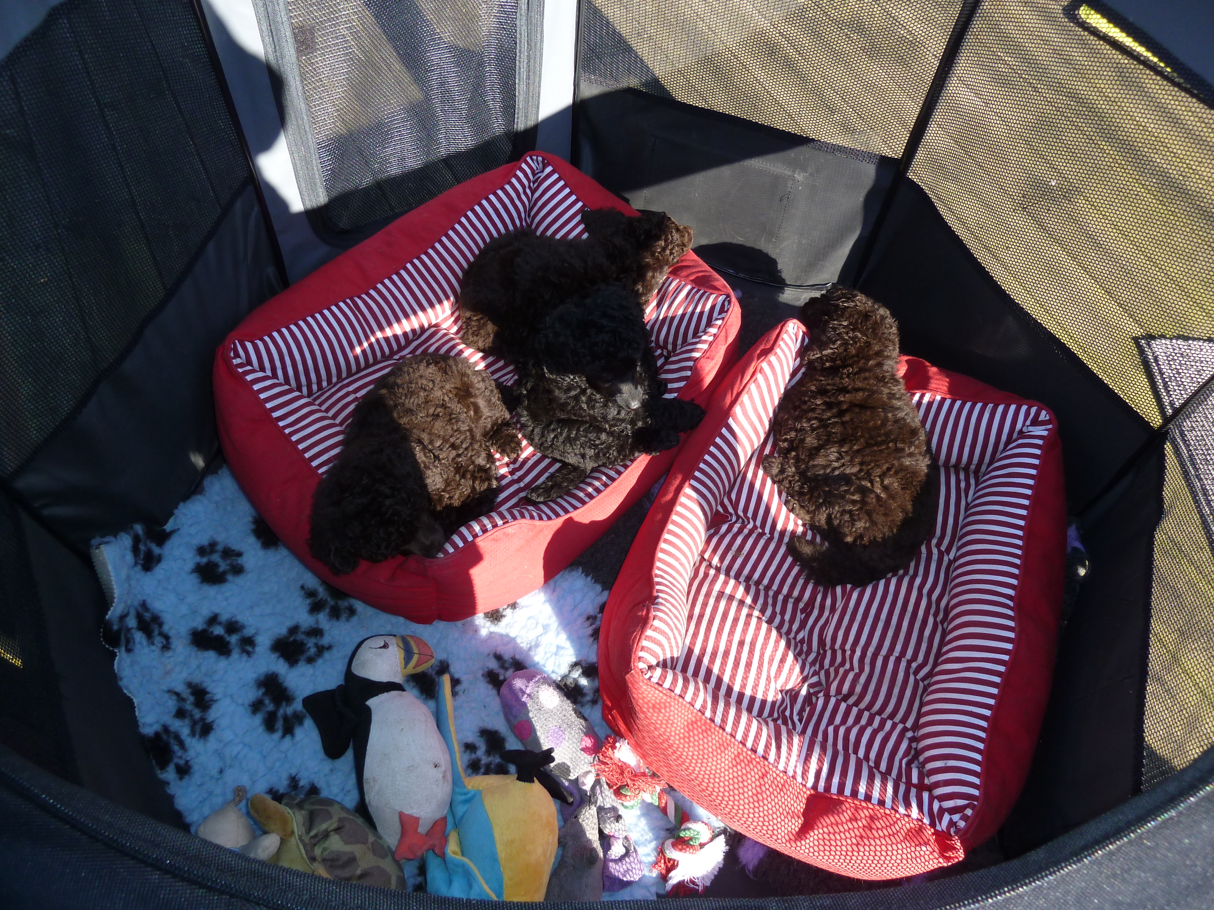 Perfekt middagsslummerplats!