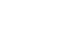 Cleanbros