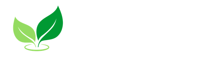Clean & Fresh Nottingham Cleaners