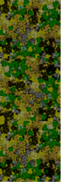 camouflage